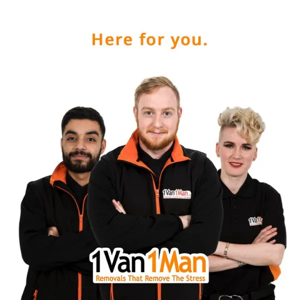 Best removal companies York