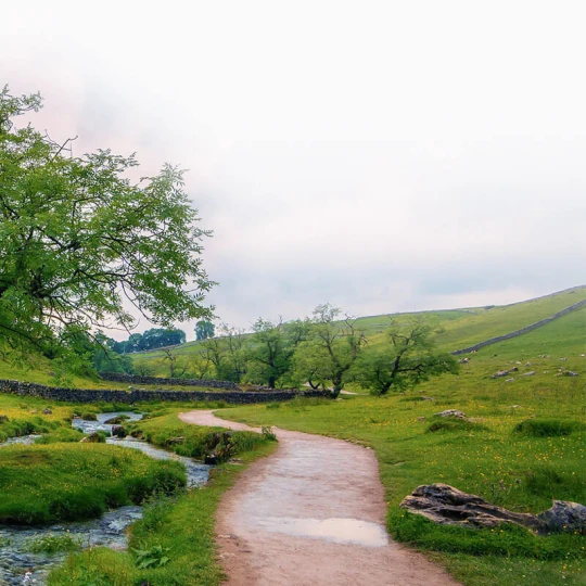 Covering All of Yorkshire