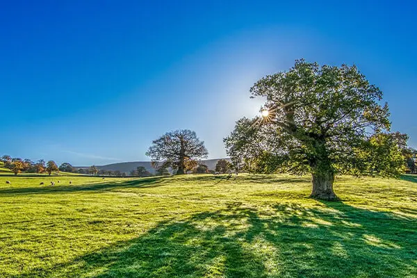 Image of Bishopthorpe - Man and Van House Removals Services
