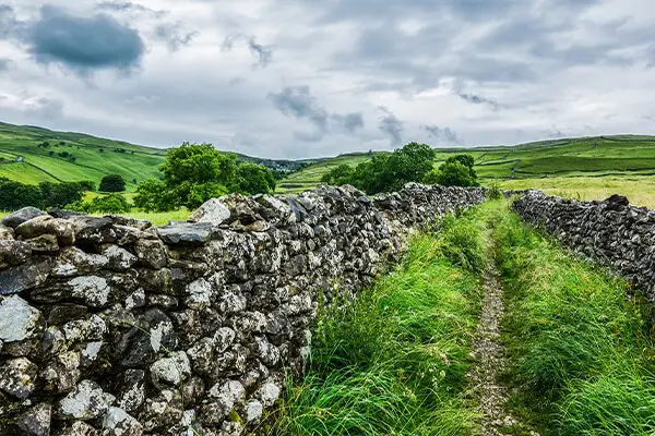 Image of Copmanthorpe Removals - House & Office Movers for Hire