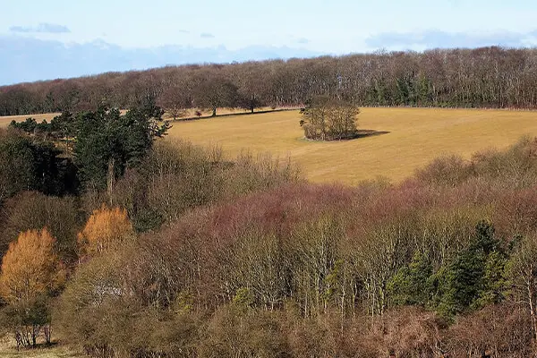 Image of Man and Van House Removals in Goole - Low-Cost