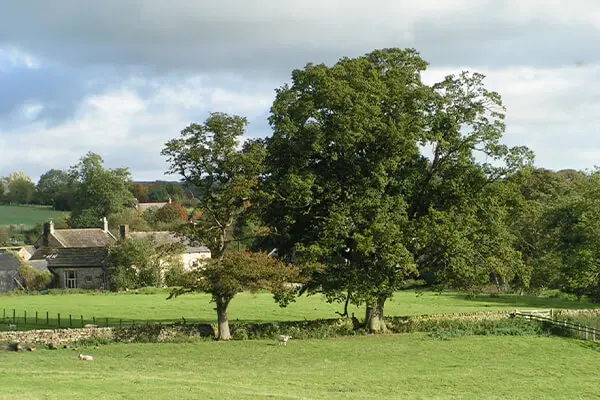 Image of Relocate with Ease: The Huggate Removals Experience