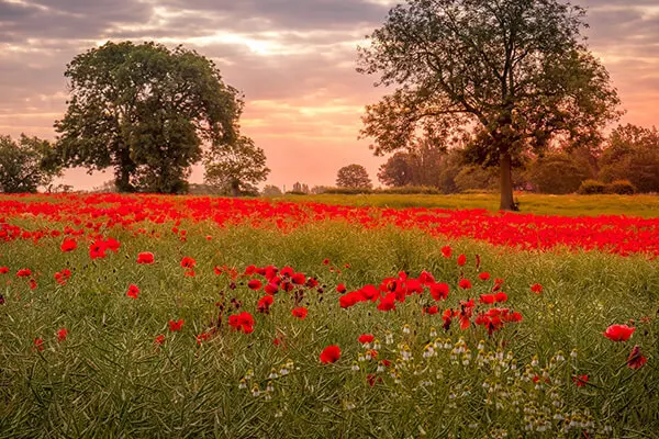 Image of Removals Northallerton: Low Cost Man & Van Services