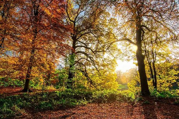 Image of Removal Experts in Pickering (5 Star Local Man & Van)