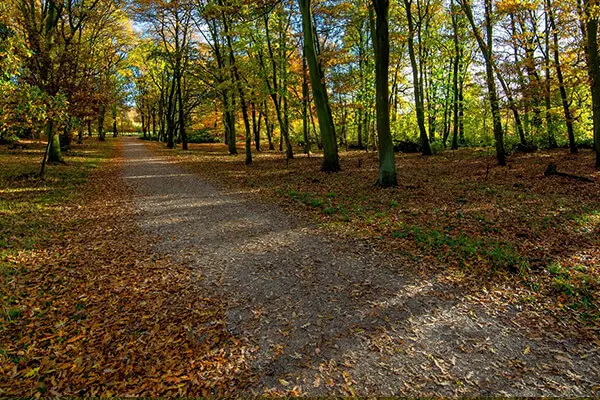 Image of Removals in Pocklington - Man and Van Moving Services