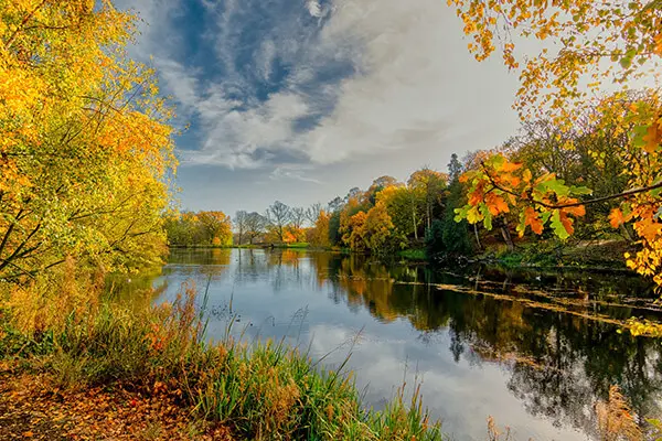 Image of Removals in Rawcliffe - Best Movers and Vans to Book