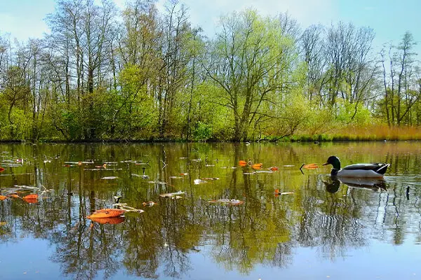 Image of Expert House Removals & Man with a Van in Selby