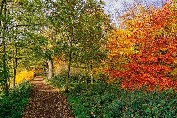 Image of Stamford Bridge House Removals: Local Man & Van Hire