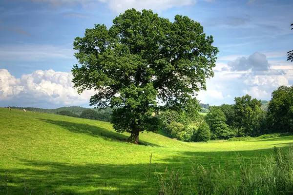 Image of House Removals in Strensall: Expert Man and Van Hire