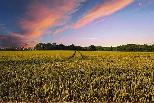Image of Removals in Thorne - Quality Man and Van Moving Firm