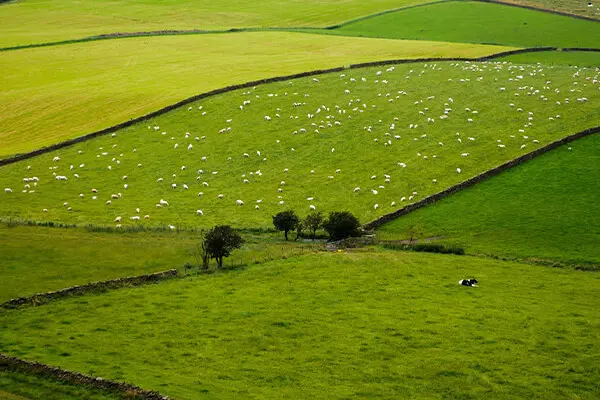Image of Wetherby Removals - Man and Van Wetherby Services