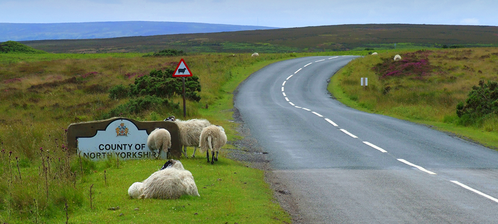 The surrounding areas and villages of York